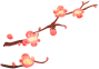 塔孜 | 新年伊始，萬(wàn)象更新，1月啟動(dòng)大會(huì)圓滿落幕！