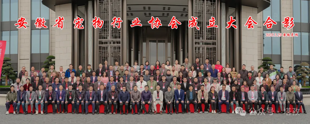 寵都平臺成為安徽省寵物行業(yè)協(xié)會理事單位，開啟寵物產(chǎn)業(yè)新征程